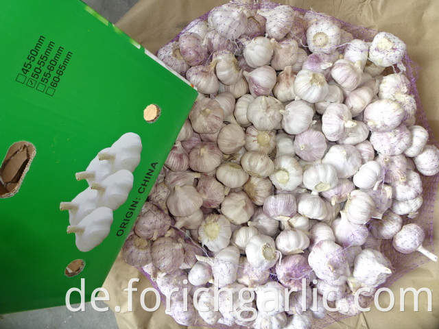 Crop 2019 Normal Garlic